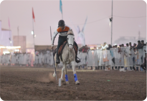 Tent Pegging